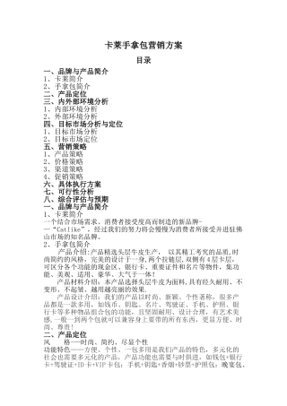 手拿包营销策划方案