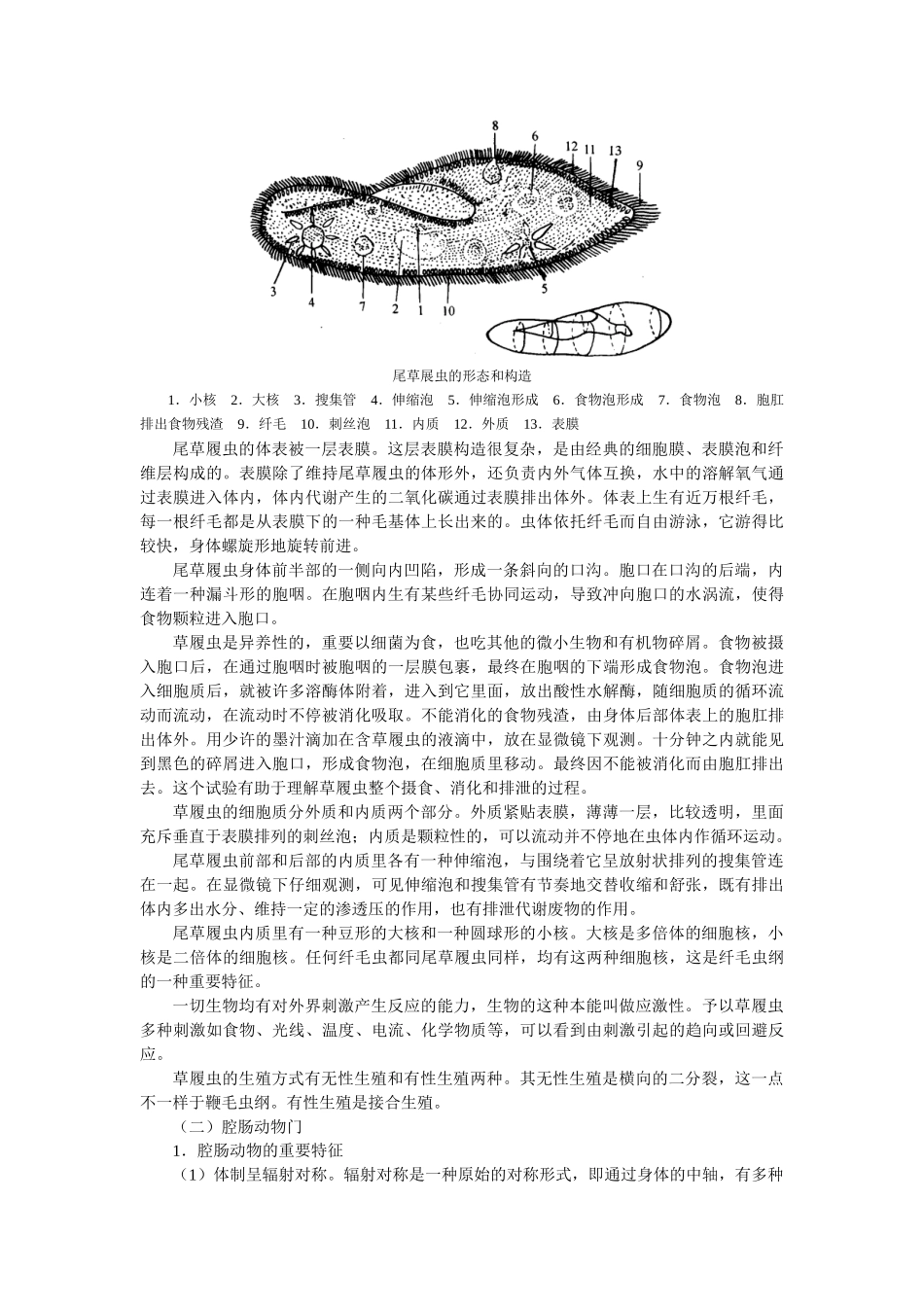 2025年高中生物无脊椎动物竞赛辅导讲座第四章_第2页