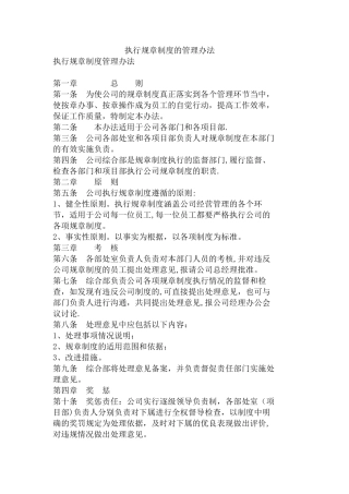 执行规章制度的管理办法