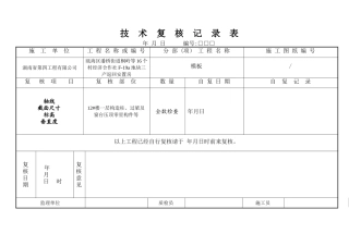 技术复核记录表3