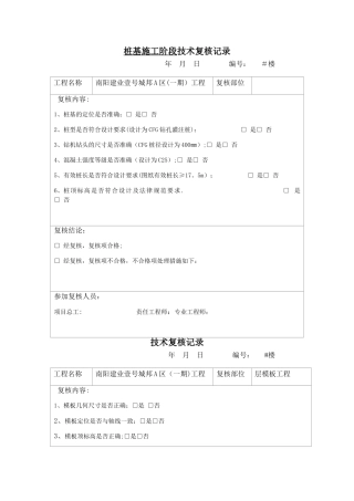 技术复核记录表---简化