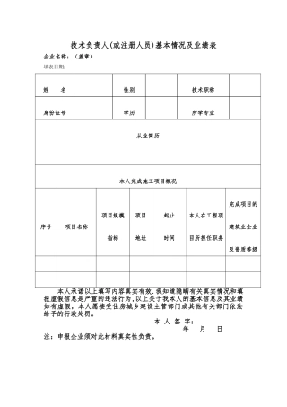 技术负责人基本情况及业绩表