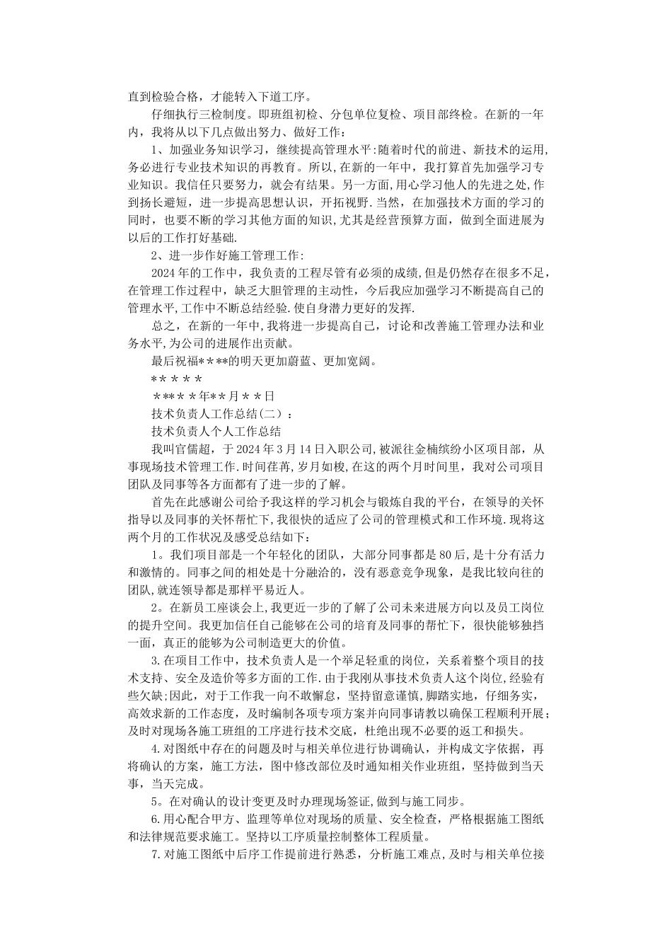 技术负责人工作总结完整版_第2页