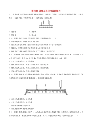 2025年淄博专版中考物理第四章透镜及其应用真题演练
