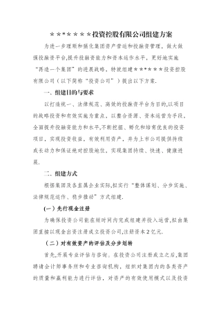 投资公司组建方案