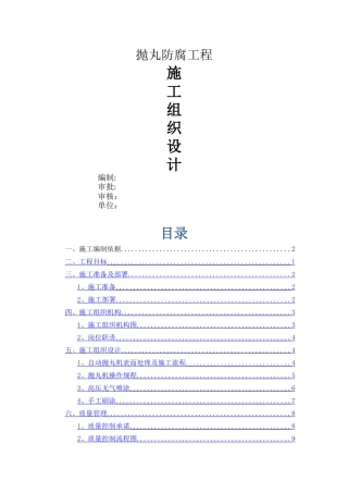 抛丸防腐专项施工方案