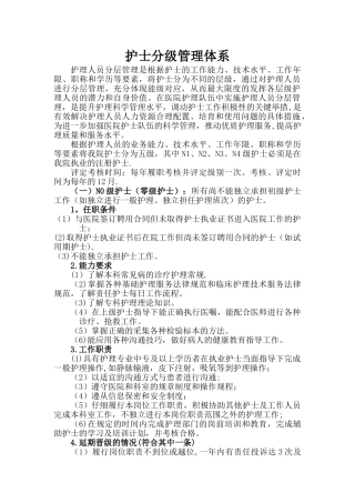 护士分级管理体系