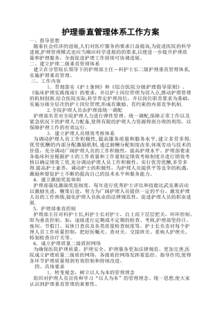 护理垂直管理体系工作方案