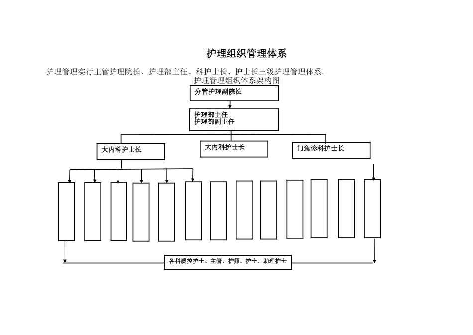 护理管理组织体系架构图_第1页