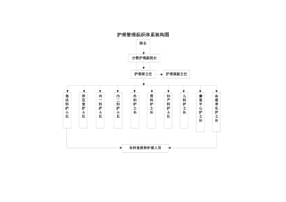 护理管理组织体系架构图
