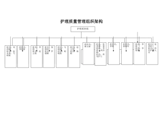 护理质量管理组织架构图