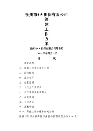 担保公司筹建工作方案