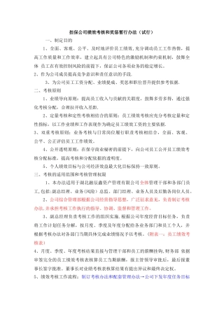 担保公司绩效考核和奖惩暂行办法22