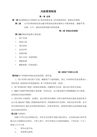 担保公司风险管理制度