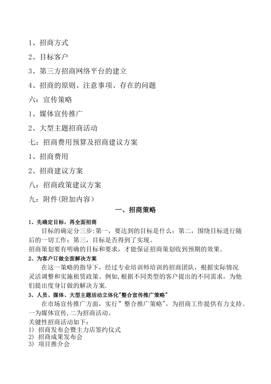 招商工作计划_第2页