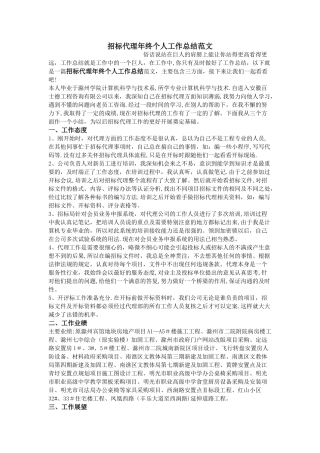 招标代理年终个人工作总结范文
