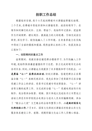 挂职工作总结
