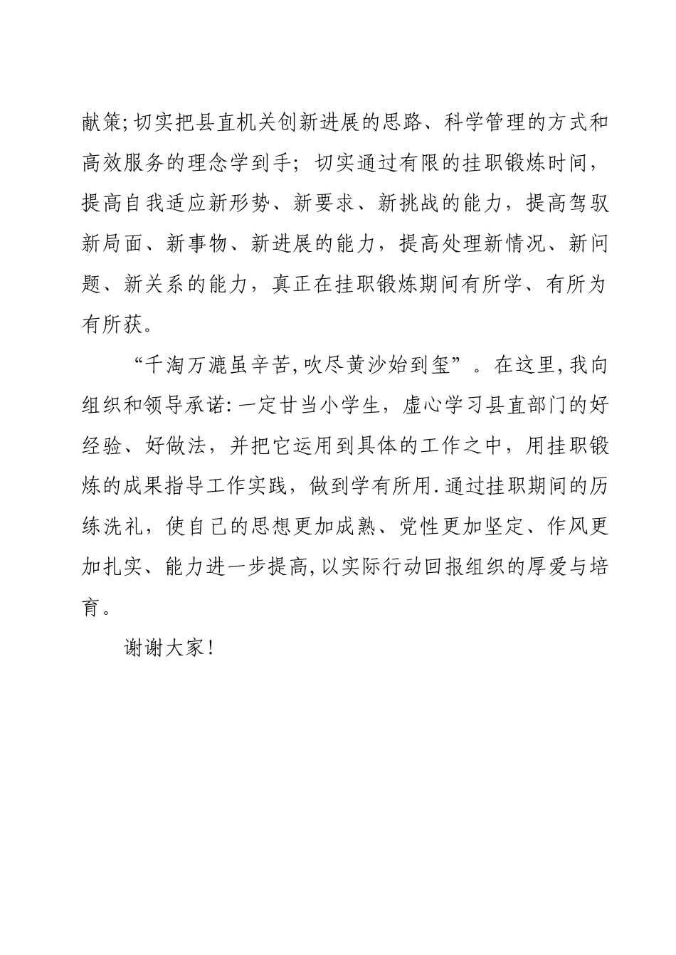 挂职干部表态发言_第3页