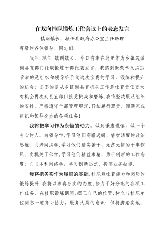 挂职干部表态发言