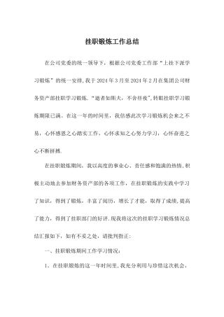 挂职锻炼工作总结