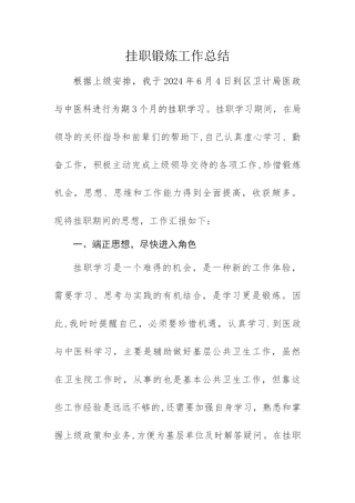 挂职锻炼工作总结