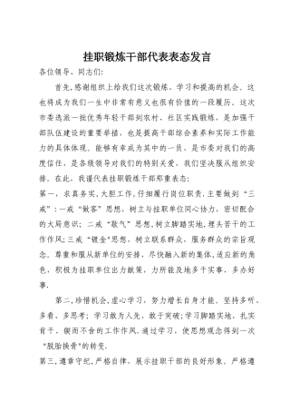 挂职锻炼干部代表表态发言