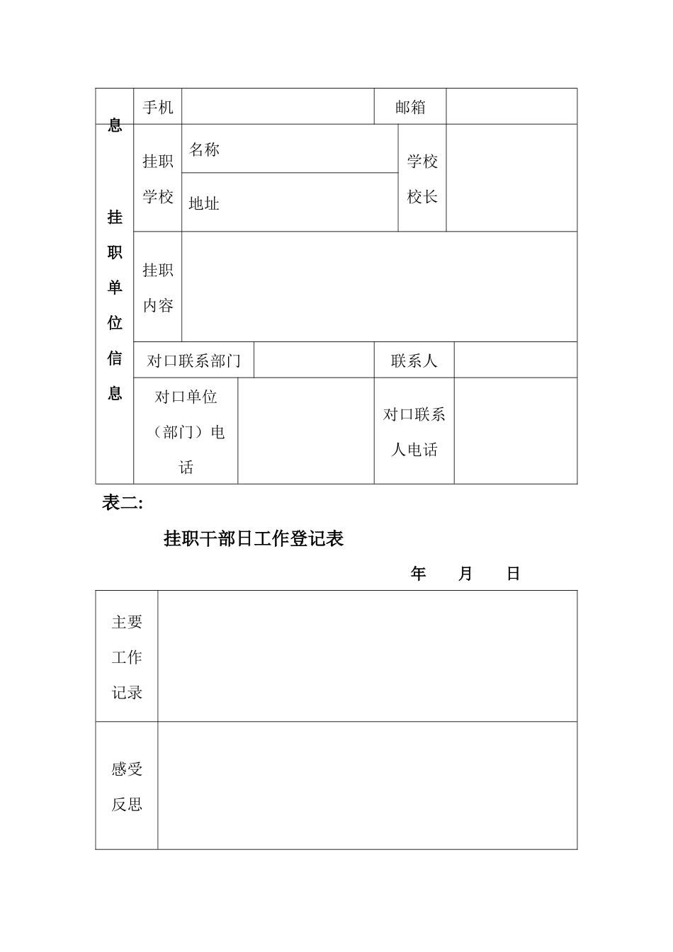 挂职锻炼考核表_第2页
