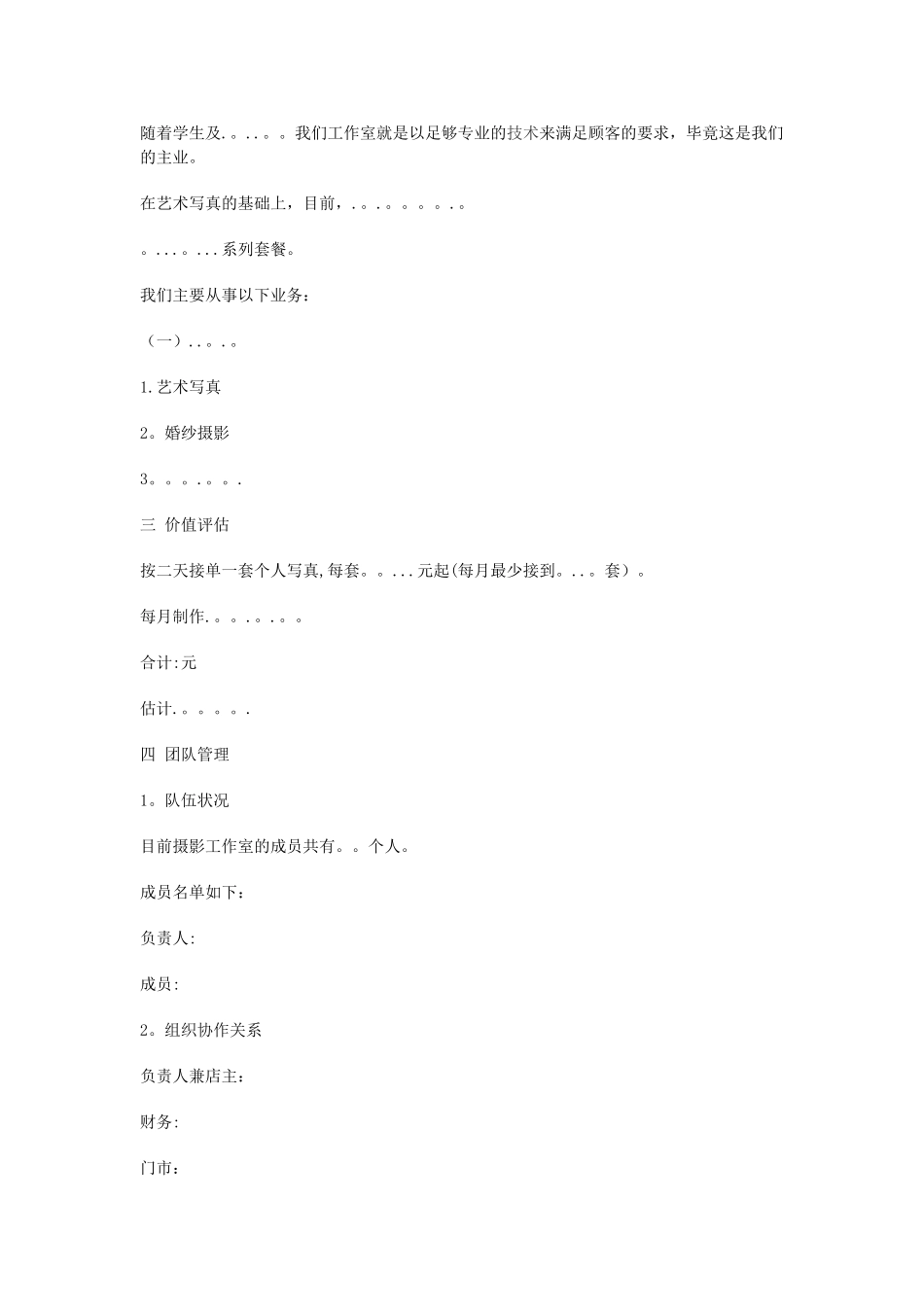 摄影个人工作室创业计划书_第2页