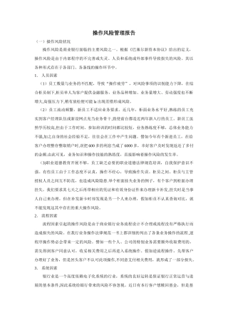 操作风险管理报告
