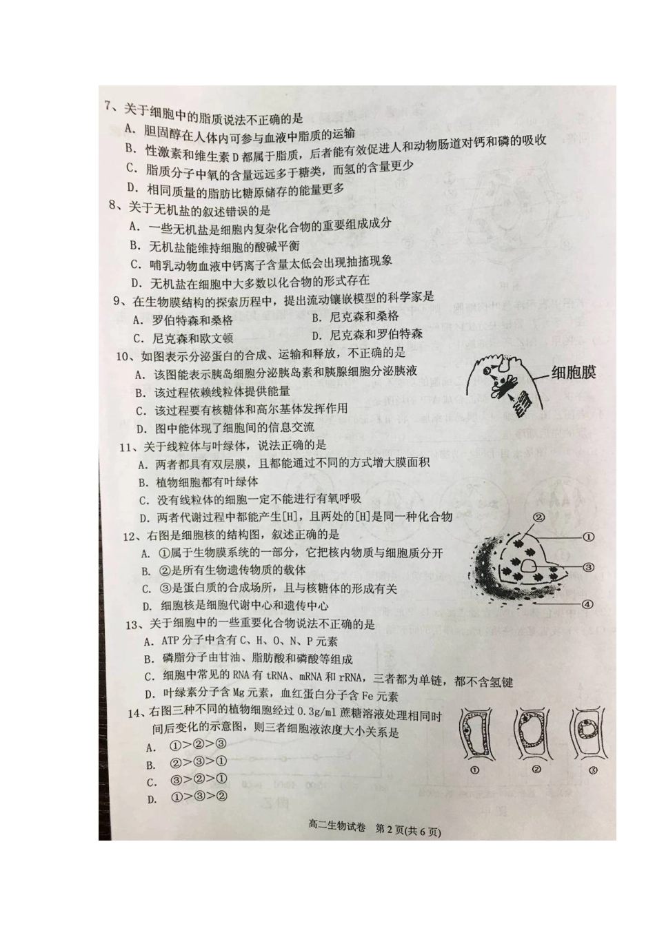 2025年贵州虱里市第一中学019高二生物上学期入学考试试题扫描版无答案_第2页