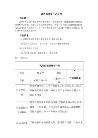 教师的再发展行动计划