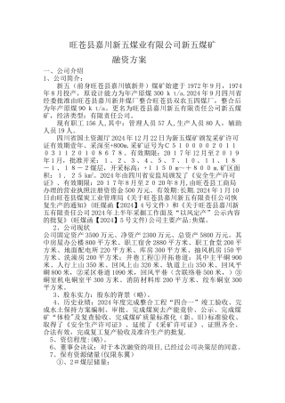新五煤矿融资方案