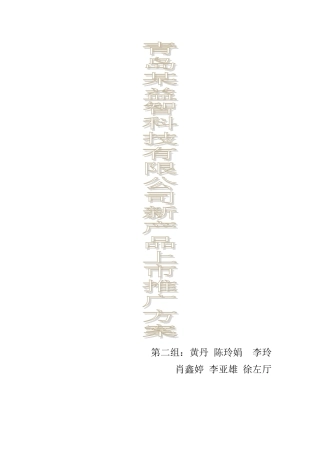 新产品上市推广方案