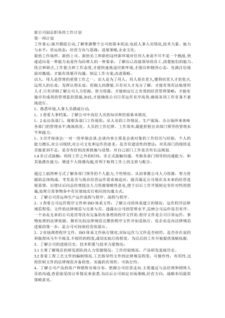 新公司副总职务的工作计划