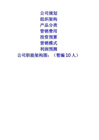 新公司成立规划策划方案