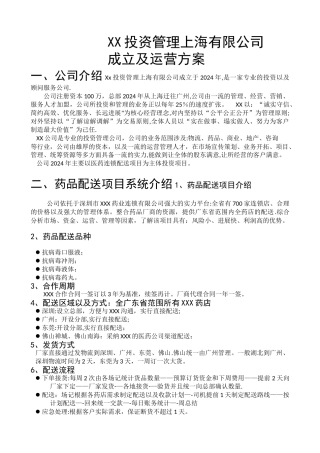 新公司成立运营方案