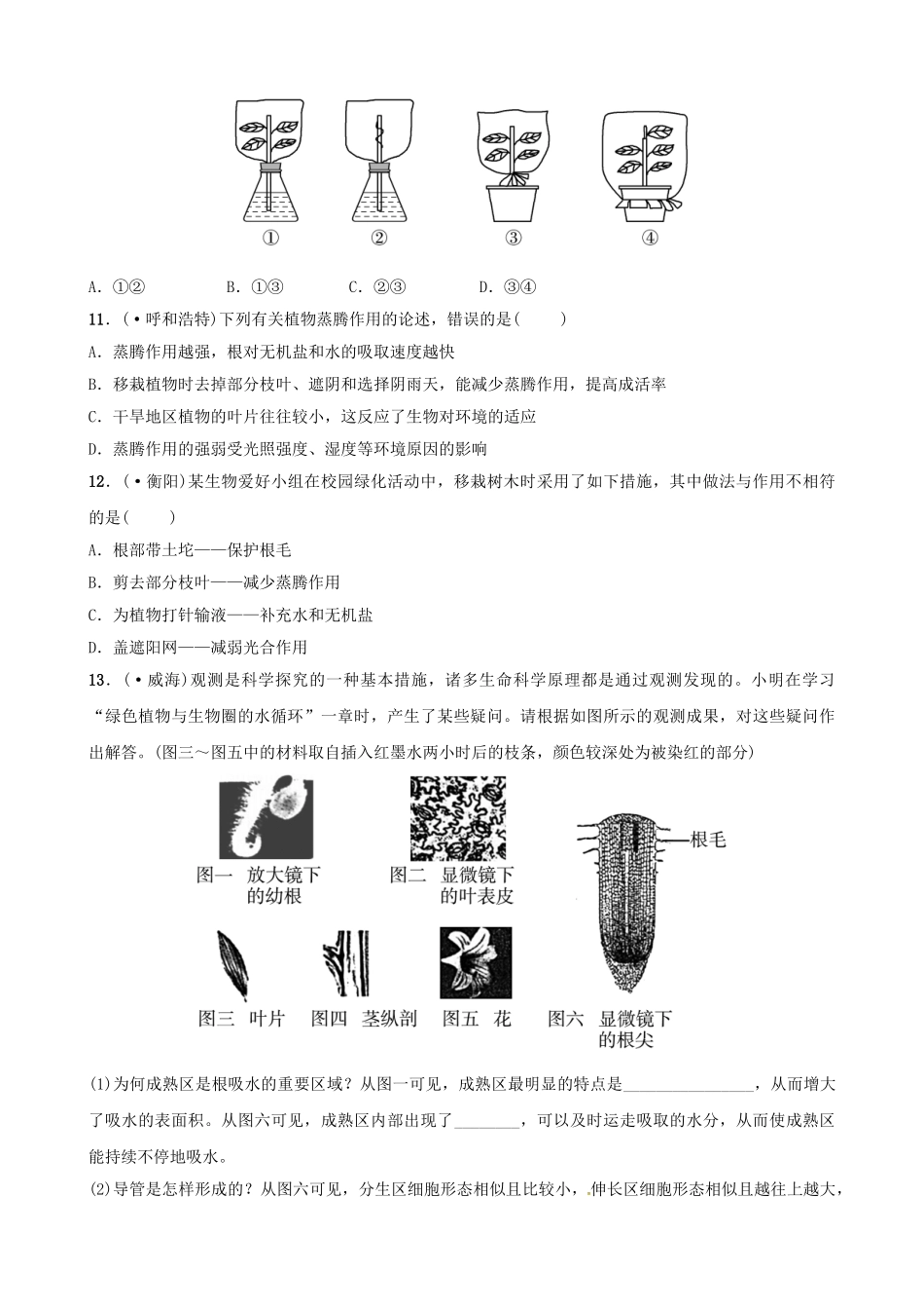 2025年江西专版中考生物第1部分第三单元第三章绿色植物与生物圈的水循环复习真题模拟实训_第3页