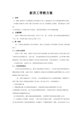 新员工带教方案