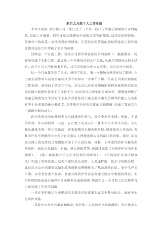 新员工月度个人工作总结