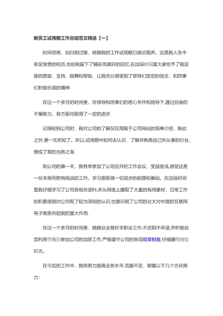 新员工试用期工作总结范文