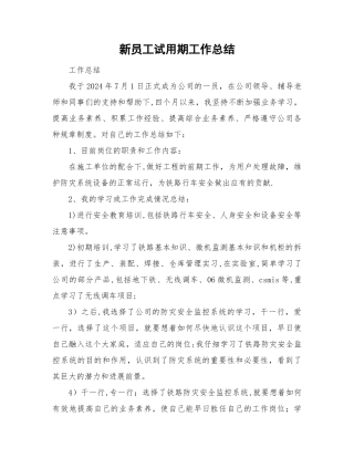 新员工试用期工作报告总结