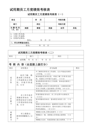新员工试用期考核表(月度)