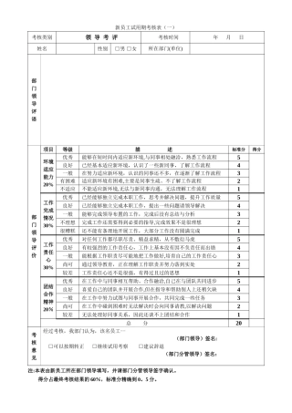 新员工试用期考核表3