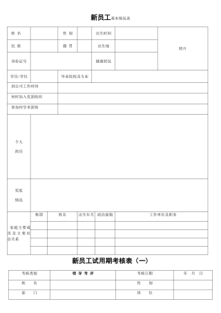 新员工试用期考核表53501