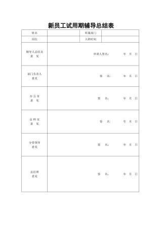 新员工试用期辅导总结表