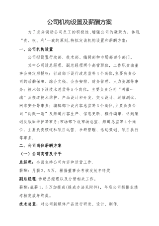 新媒体公司机构设置、薪酬方案及激励机制