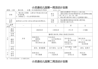 新安幼儿园小班第一周活动计划表
