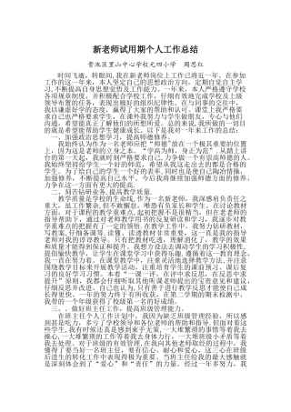 新教师试用期个人工作总结