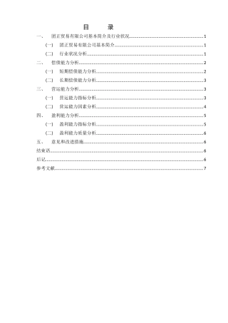 团正贸易有限公司财务报表报告财务报表报告 (2)