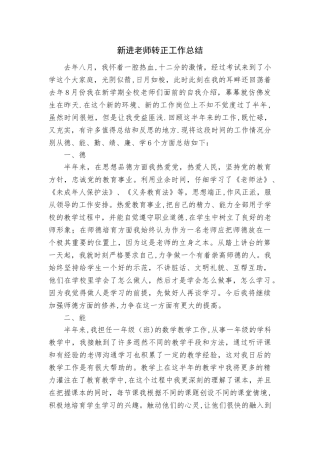 新进教师转正工作总结